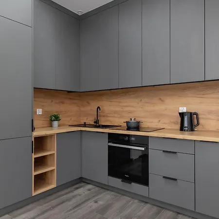 Cozy With Air Conditioning Close To The Center In By Renters Lägenhet Katowice
